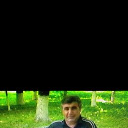 , 63, 