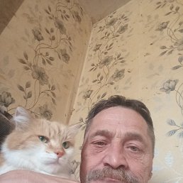 , 50, --
