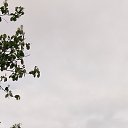 ���� ����., ����, 54 ���� - ��������� 21 ���� 2025 � ������ ���� ����������