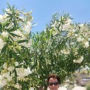 ��� 2025 �� ������� ���� ����������