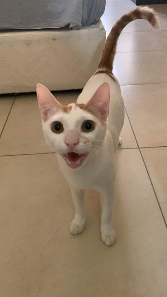 �� ����������� ���������� ������� � ��������� ����. ����������� ������� ����) - 7