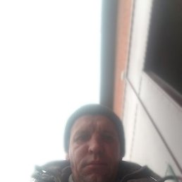 �������, �����, 38 ���