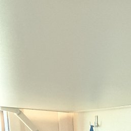 ����, ������, 41 ���