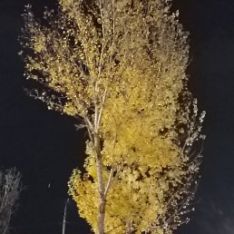���� Fedya, ������, 37 ��� - ��������� 14 ������� 2026