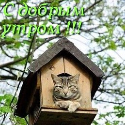 ���������, �����������, 67 ���