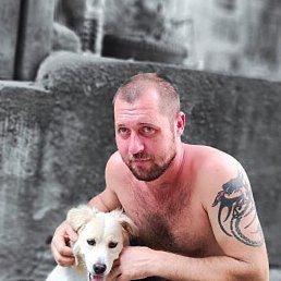 �����, ������-��-����, 37 ���