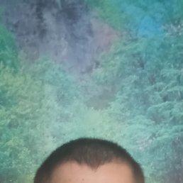 , 35, 