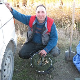 ���� ������, ���������, 52 ���� - ��������� 22 ������� 2024