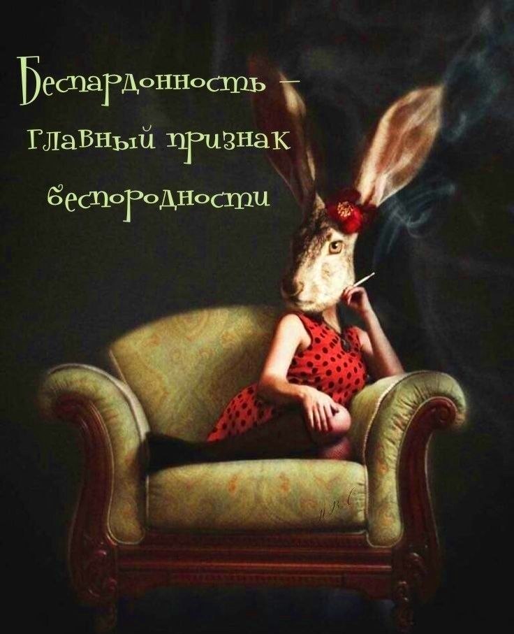 �������� ������ - 28 ������ 2026 � 01:51