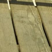 ������� ���������, 42 ����, ������