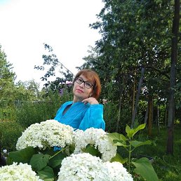 ����, ������