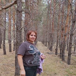 ���� �����, ���������, 41 ��� - ��������� 14 ������ 2026