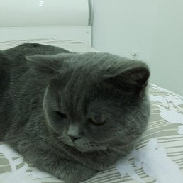 ������, ����, 57 ���