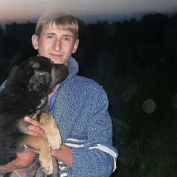 ���������, 33 ����, ������������