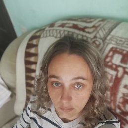 ���� �������, ����, 44 ���� - ��������� 31 ������ 2026