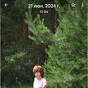 ���� �����, ������������, 61 ��� - ��������� 1 ������ 2026