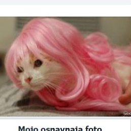 Joana, ���, 55 ���