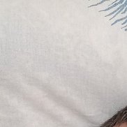 ���������, 42 ����, ���������