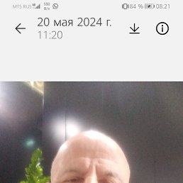 ���� �����, ������, 61 ��� - ��������� 11 ����� 2026