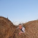 ���� �������, ��������, 68 ��� - ��������� 20 ������� 2023 � ������ ���� ����������