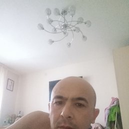 , 37,  