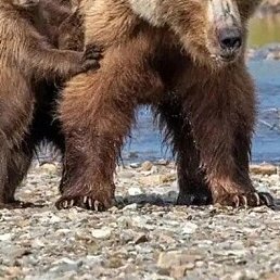 ����, ������, 45 ���