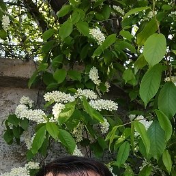 , 42, -