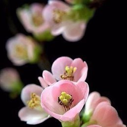 ����, �����, 25 ���