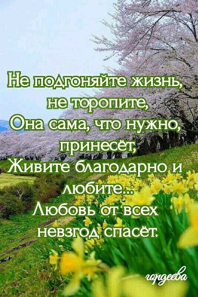 ₪╬═►  ||  ||  ◄═╬₪ - 16  2024  07:27