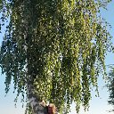 ���� �����, �������, 57 ��� - ��������� 8 ������ 2026 � ������ ���� �������Ȼ