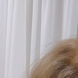 ������, ������, 58 ���