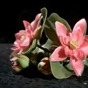 ���� �, ������, 37 ��� - ��������� 14 ���� 2025