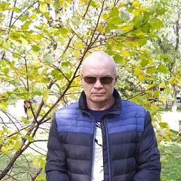 ���� ������, �������� - ��������� 2 ������� 2024