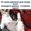 ���� ����, �������, 60 ��� - ��������� 29 ������ 2025 � ������ �������