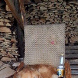 �����, ������, 45 ���