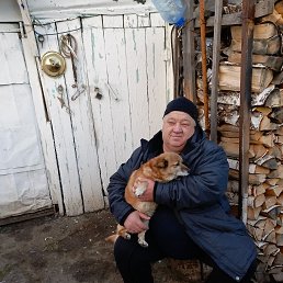 ��������, 55 ���, ������