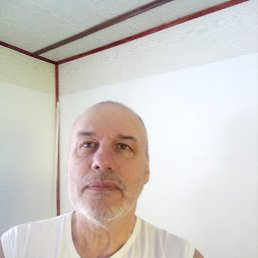 ������, �����������, 66 ���