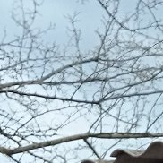 , 54 , 