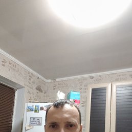 ���������, 44 ����, ����������