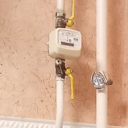 �����, 43 ����, ������