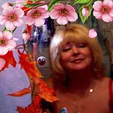 ���� �����, �����-��������� - ��������� 11 ������ 2026 � ������ ���� ����������