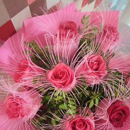 ���� �����, ������, 33 ���� - ��������� 18 ������ 2023