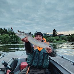 ������, 46 ���, �����������