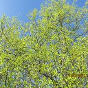  , , 60  -  23  2025    2025 .  ... 9 