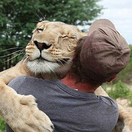 �, �����-���������, 66 ���