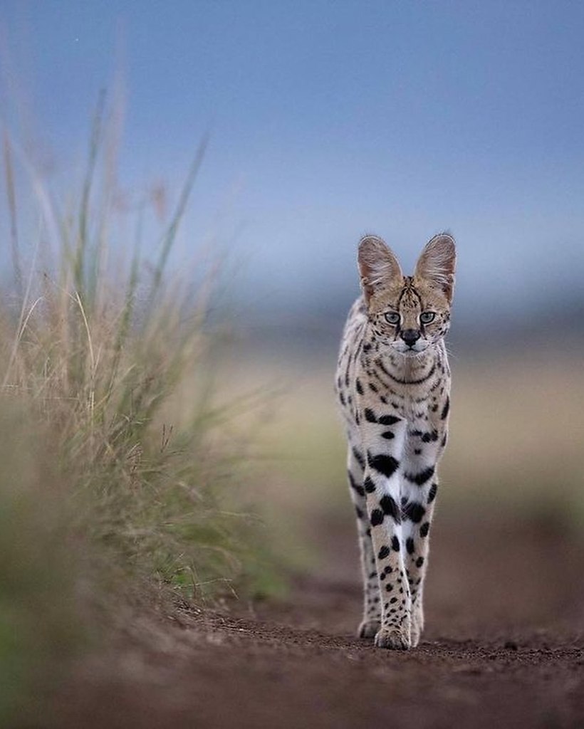 ,  .  -         . ... - 2