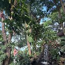 ���� Vera Sun, �����������, 69 ��� - ��������� 21 ������� 2026 � ������ ���� ����������