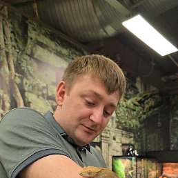 �����, ���������, 34 ����