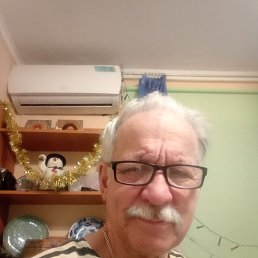 ���� �������, �����, 62 ���� - ��������� 16 ����� 2026