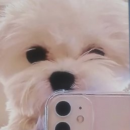 ���, ������, 38 ���